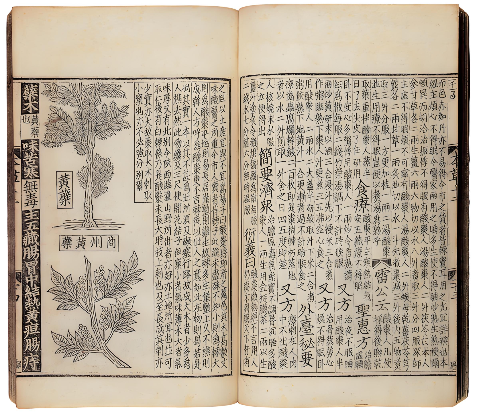 中医古籍封面图 - 本草经集注